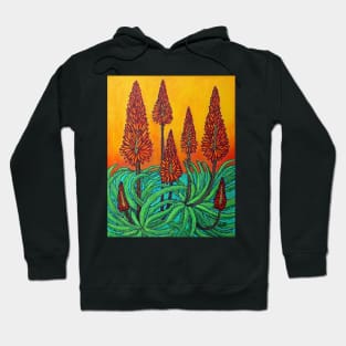 South African Fireball Hoodie